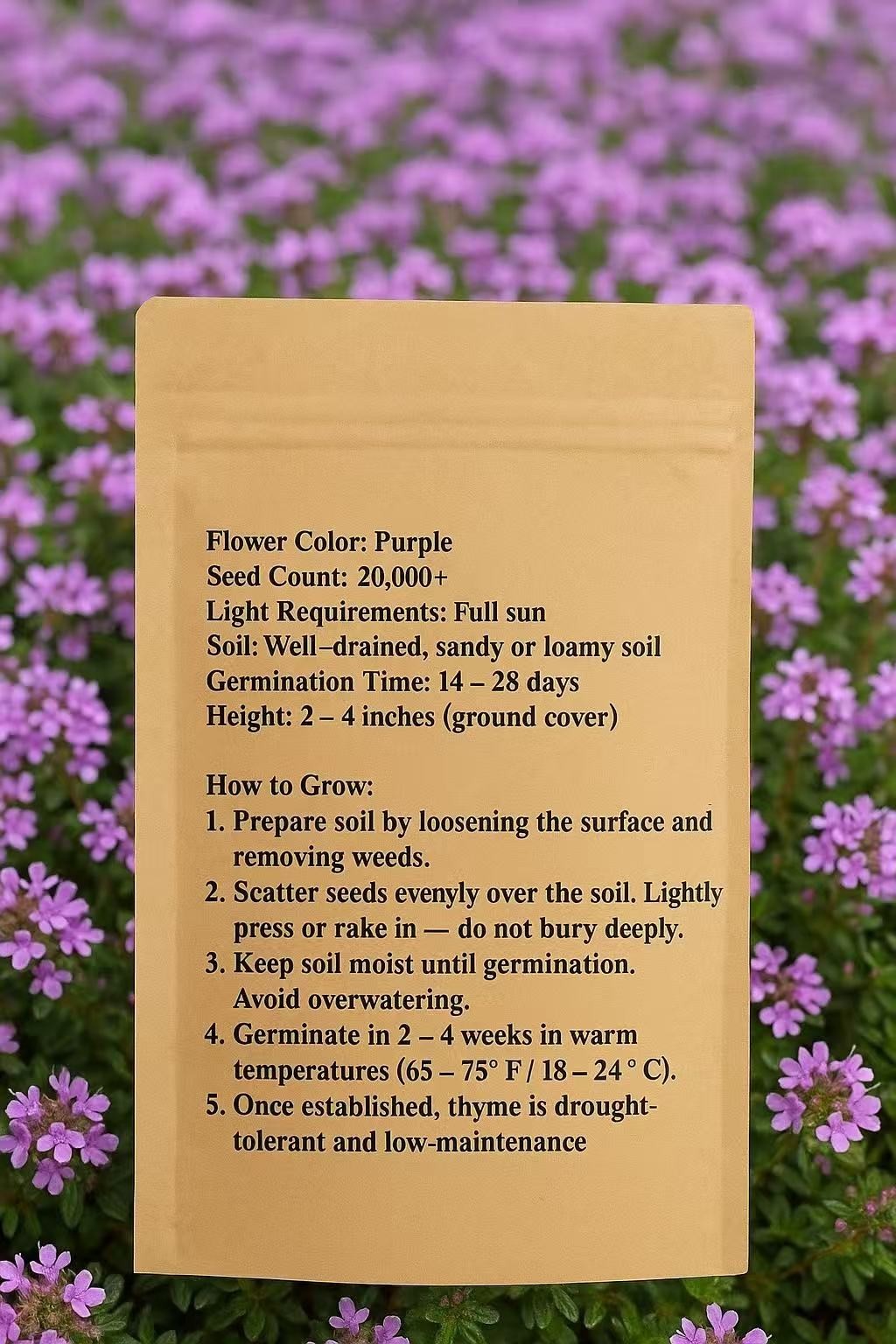 20000+ Creeping Thyme Seeds Purple Ground Cover Perennial Non-GMO Heirloom