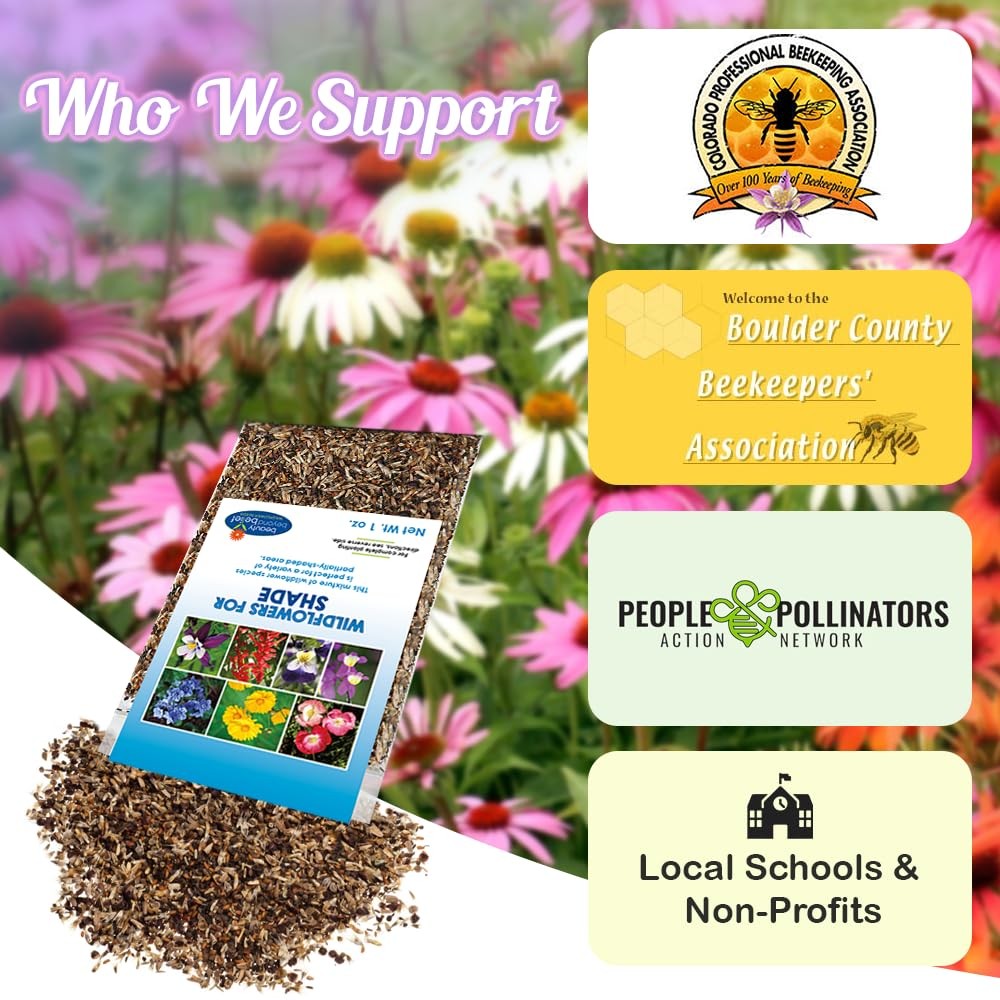 BBB Seed Partial Shade Wildflower Seeds 1 oz Packet, OpenPollinated Wildflow…