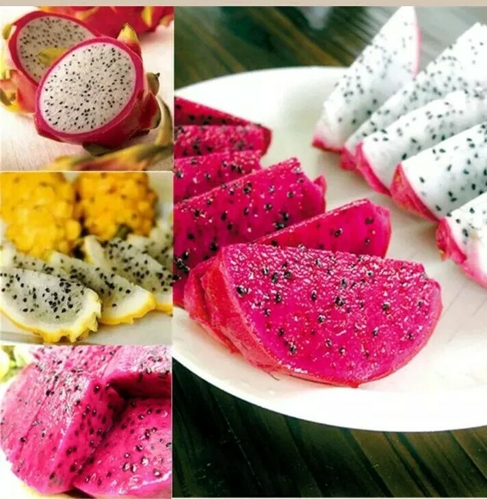40 Dragon Fruit seeds( 10 Red, 10 purple, 10 Yellow, 10 White) individual packag