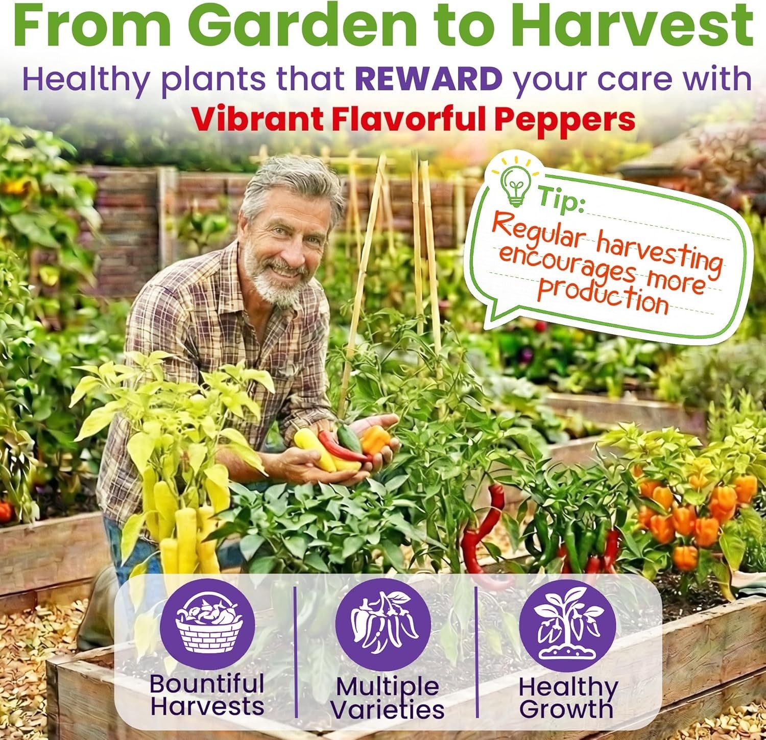 Hot Pepper Seeds for Planting, Cayenne, Hungarian Yellow, Jalapeno, Serrano, …