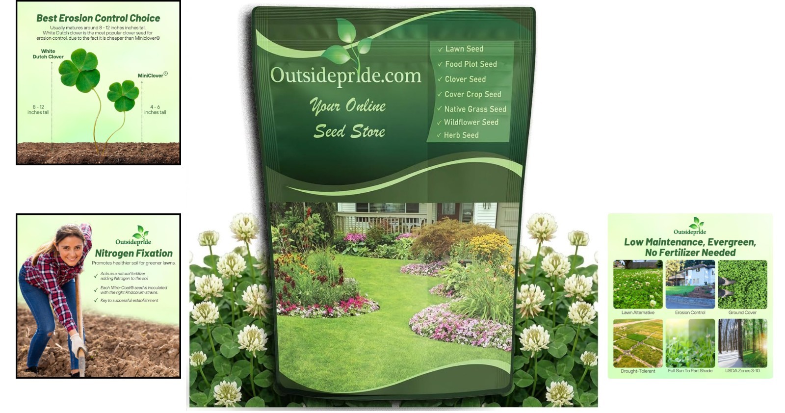 White Dutch Clover Seeds 10 lbs Nitrocoated Erosion Control Lawn Alternative