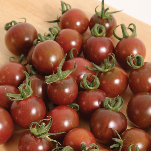 Black Opal Tomato Seeds. 15 Seeds, Free Shipping!