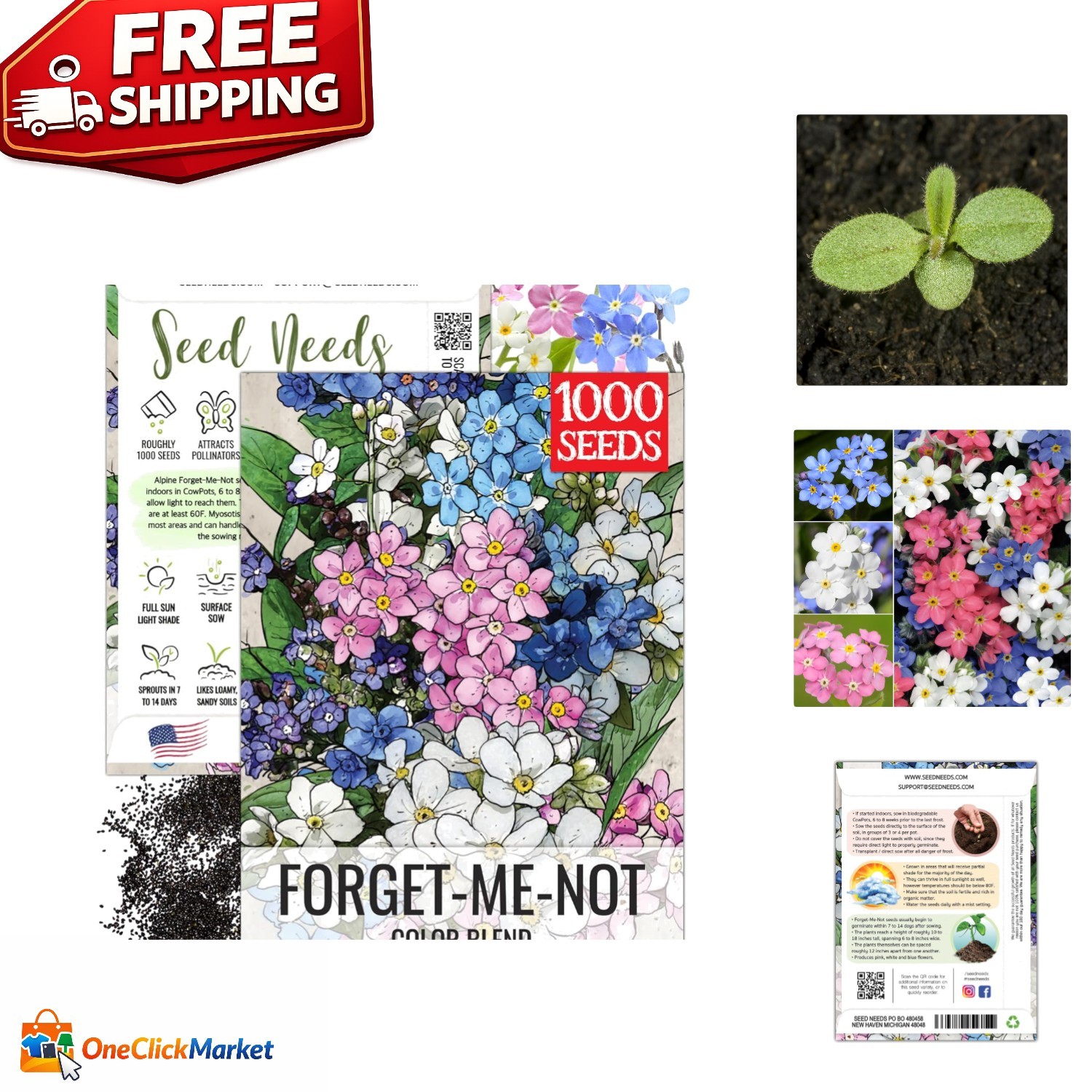 Mixed Forget Me Not Seeds – Heirloom Wildflower Blend for Butterfly Gardens