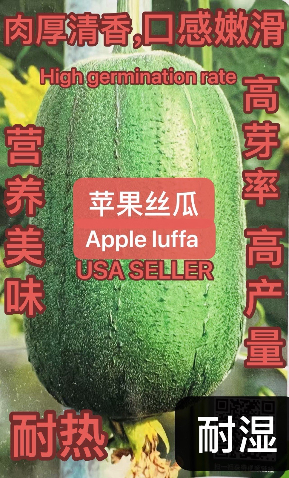 8CT F1 Apple Loofah Luffa Seeds Harvested in 2025 High Yield.8粒高产杂交苹果丝瓜种子2025年产