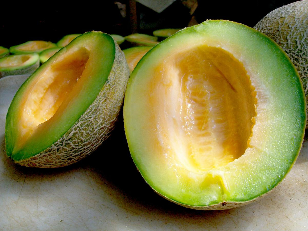 40 Heirloom Ice Cream Melon Very Rare Sweet 2-3LB Melon – Tart Flavor VERY Sweet