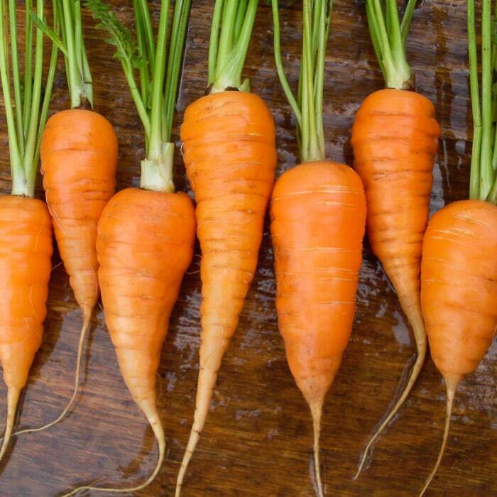 1100 CHANTENAY RED CORED CARROT SEEDS FRESH HARVEST FOR 2024 GARDENS