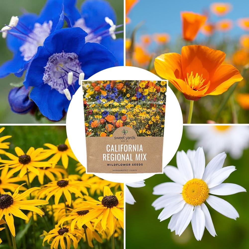 California Wildflower Mixture – Bulk 1 Ounce Packet – Over 7,000 Native Seeds…