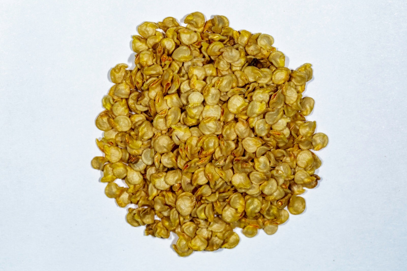 +15 Ghost Pepper Seeds, EXTREMELY HOT PEPPER.