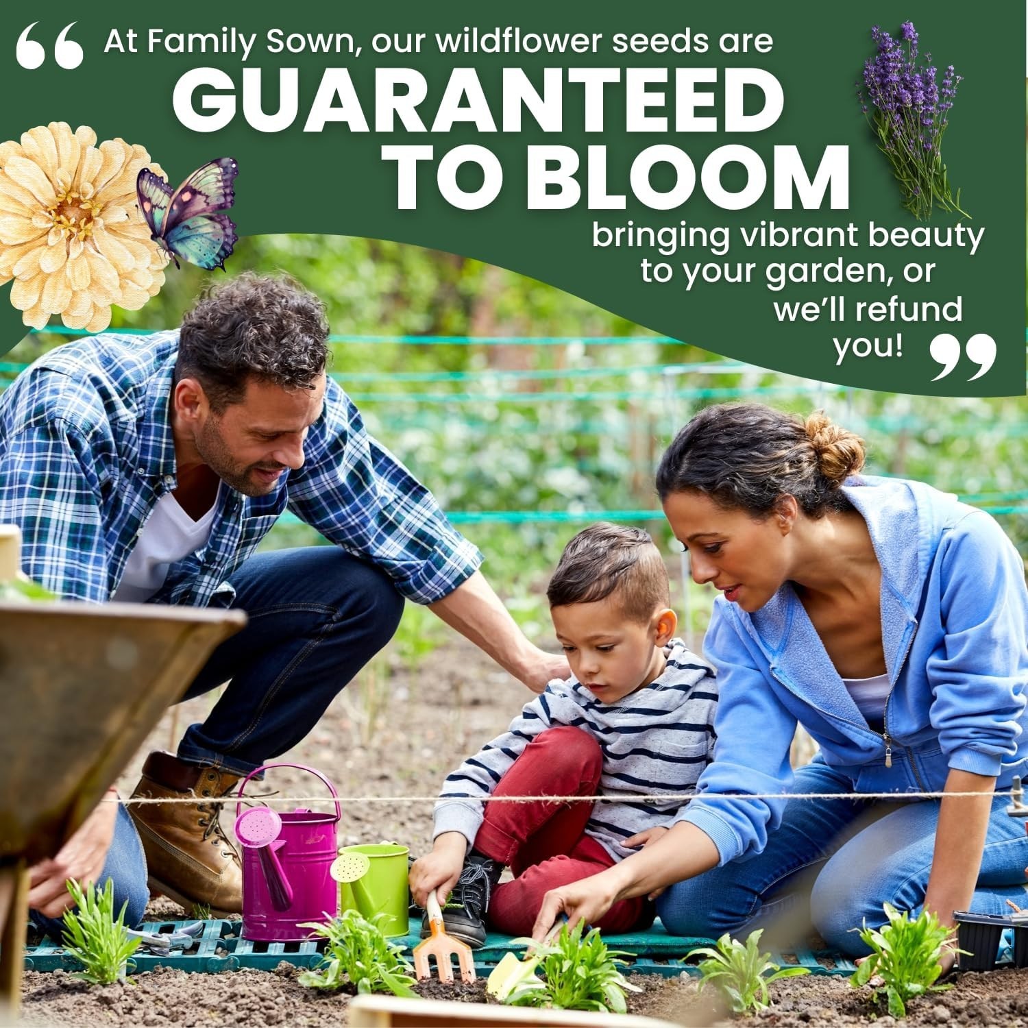Midwest Regional Mix – 14,000 Seeds for Planting – 2026 Season – 1 Ounce Pouch