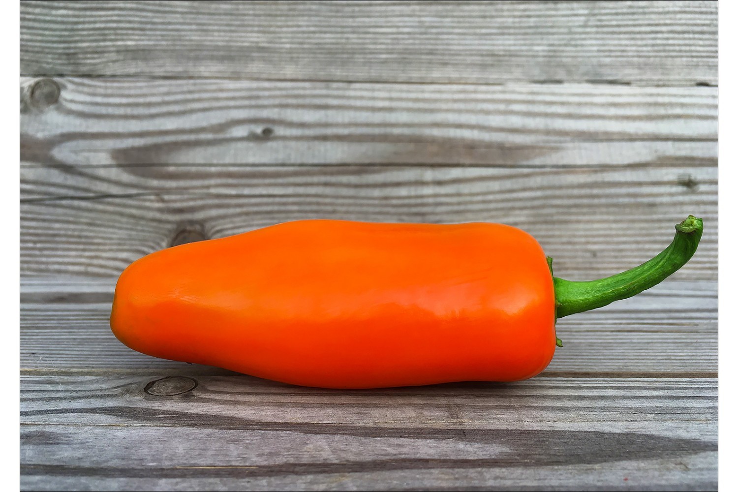 40 Rare NuMex Orange Spice Jalapeño Pepper Seeds – True HOT Orange Jalapeño