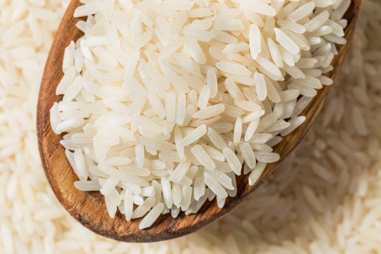 100 Long Grain BROWN WHITE RICE Oryza Sativa Vegetable Seeds