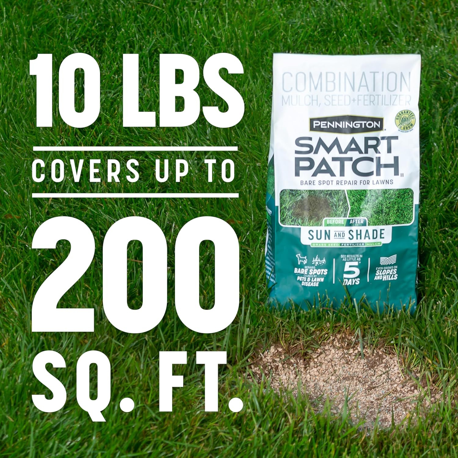 Semilla De Pasto De Centeno Perenne Smart Seed, 10 Lb