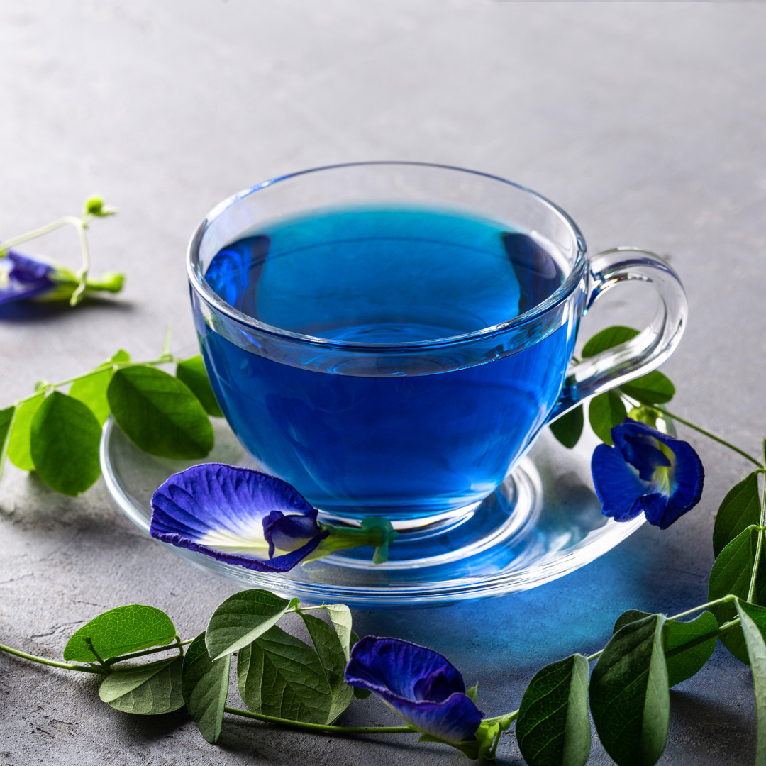 Fresh Butterfly Pea Seeds | Flower | Heirloom Non-GMO | Asian Flower Seeds
