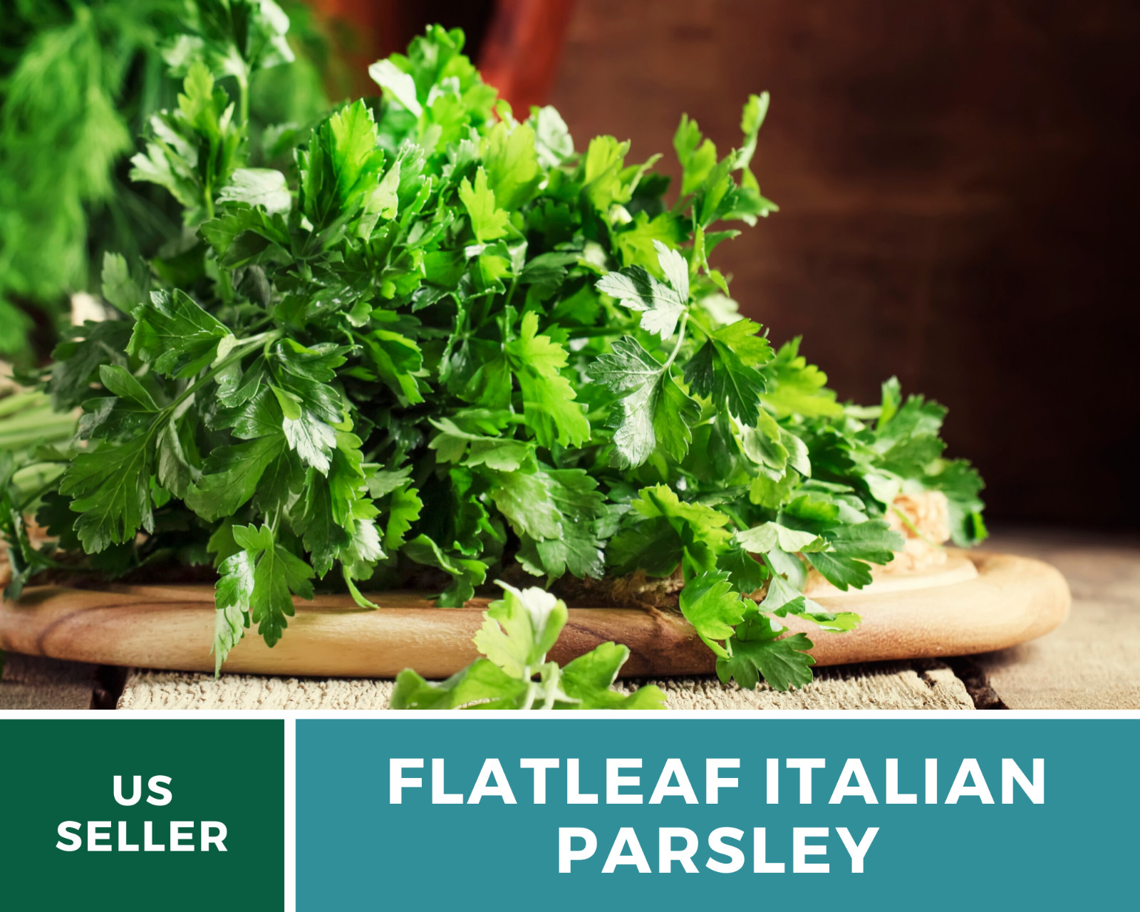Parsley, Italian Flat Leaf – 200 Seeds – Non GMO