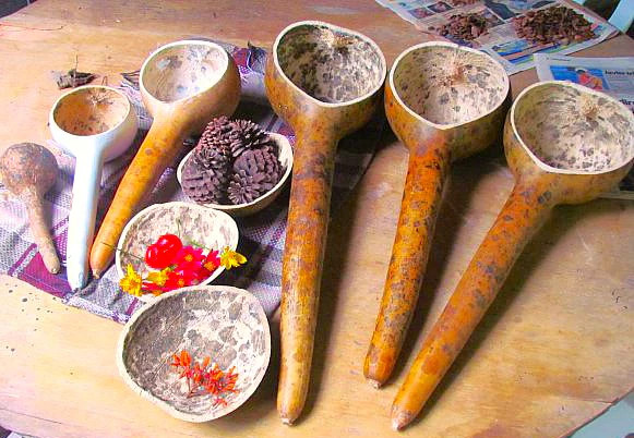 Long-Handled Dipper Gourd Seeds – For 2025 Planting Lagenaria Bottle Ornamental