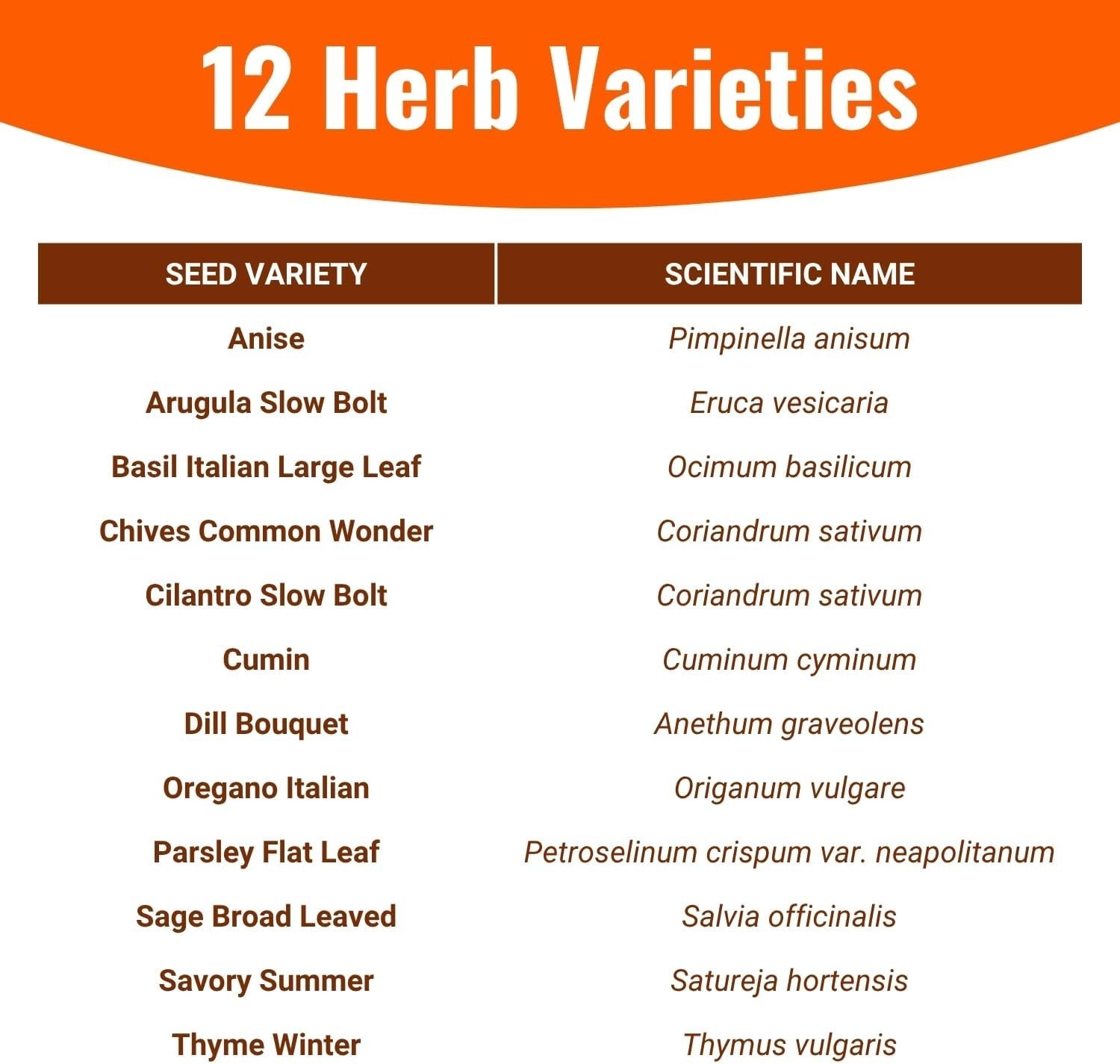 Pet-Friendly Herb Seeds | 12 Varieties of Heirloom Non-GMO Garden Essentials