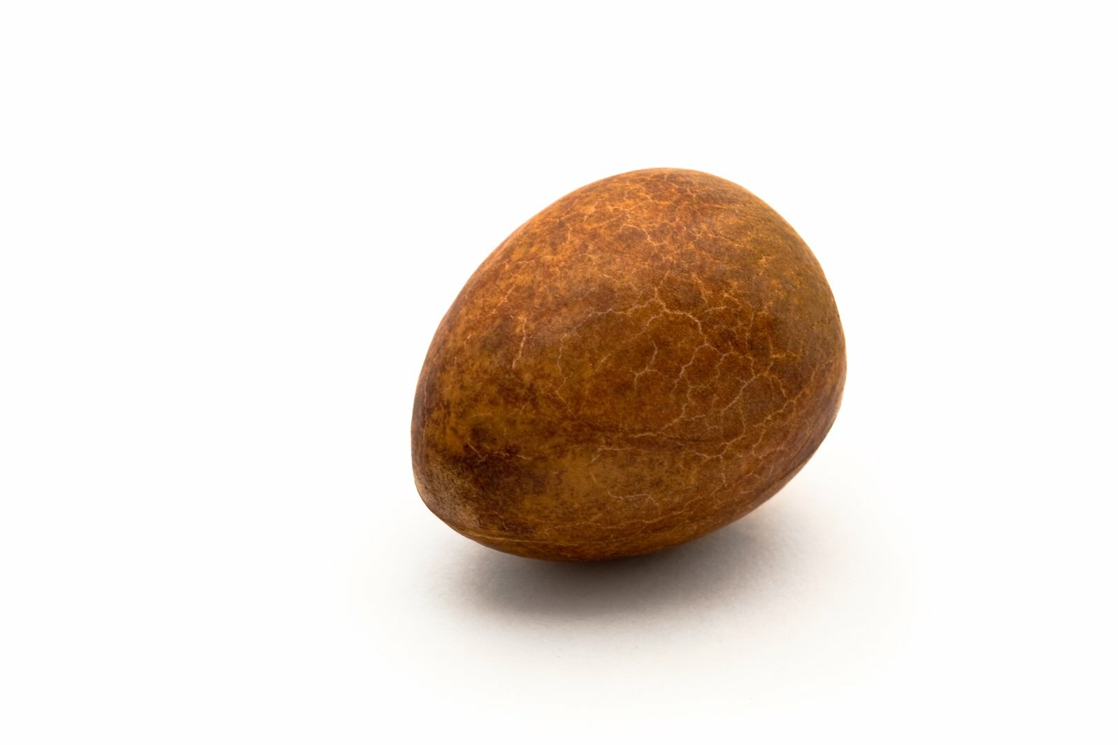 2 HASS AVOCADO SEED Organic Non Gmo Delicious Creamy FREE FAST SHIPPING