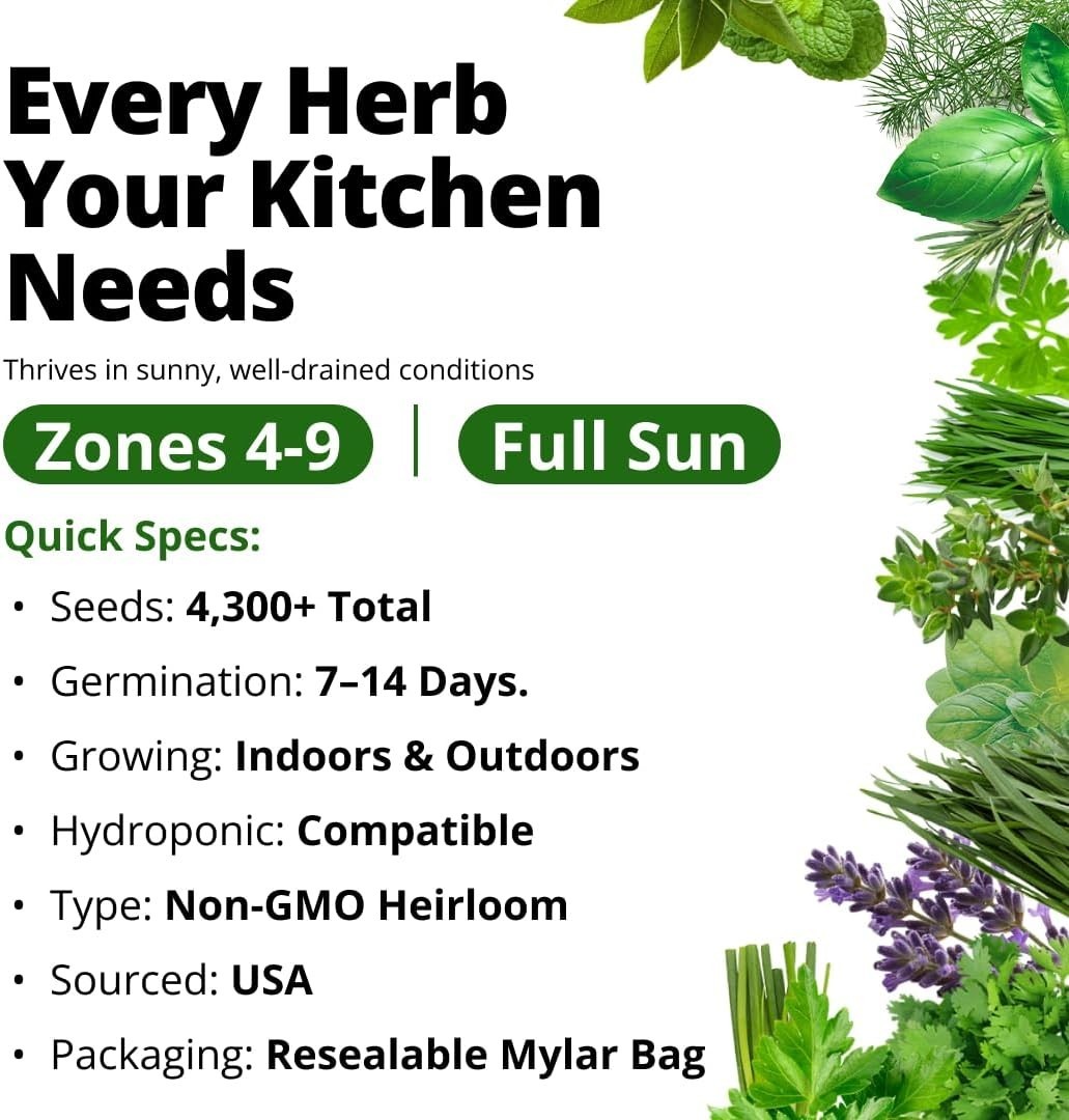 Massive 15-Pack Herb Seed Vault | Grow Your Own Fresh Herbs Indoors or Outdoors