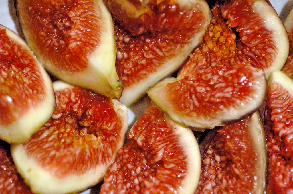 10 desert king fig cuttings. hardy, large fruit