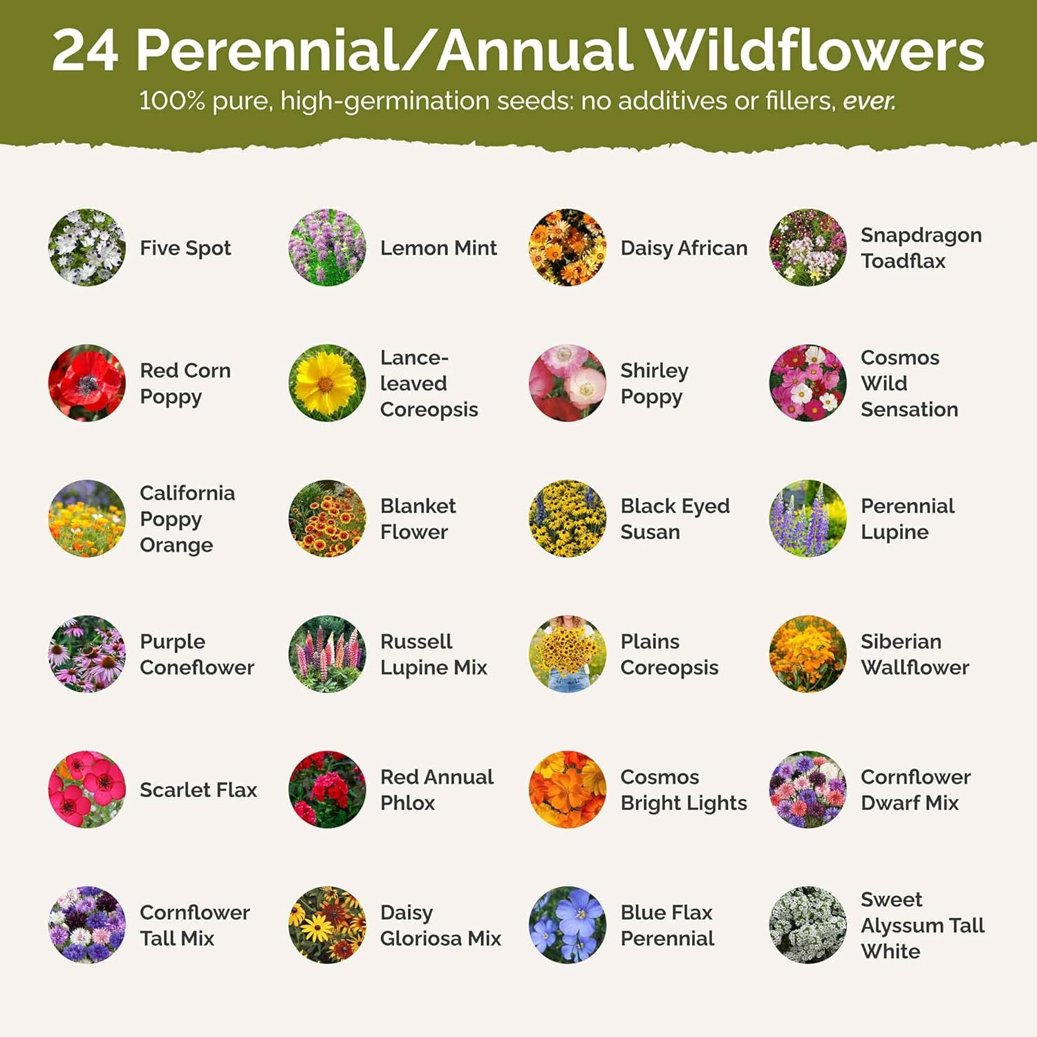 Eden Brothers Florida Wildflower Mixed Seeds for Planting, 1/4 Lb, 120,000+ Seed