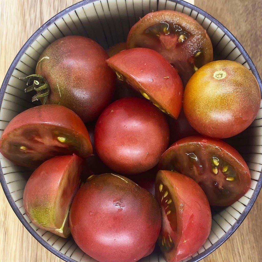 10 seeds Dwarf Velvet Night Tomato Purple cherry ORGANIC Rare Variety DTP