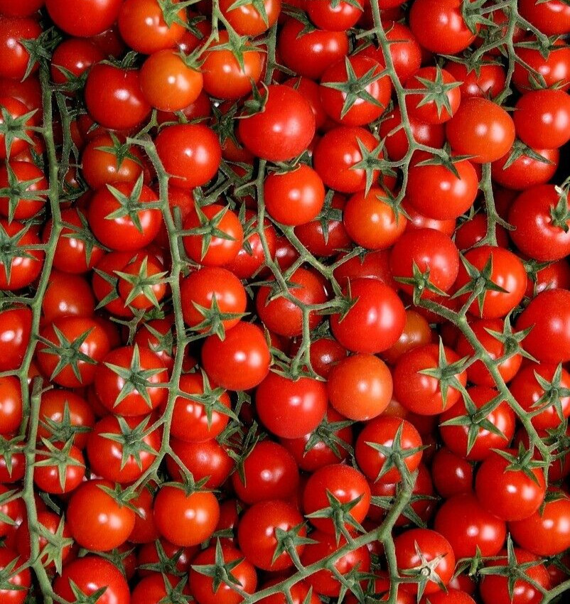 Organic Sweetie Cherry Tomato Seeds, NON-GMO, Fresh Garden seed, Made in USA
