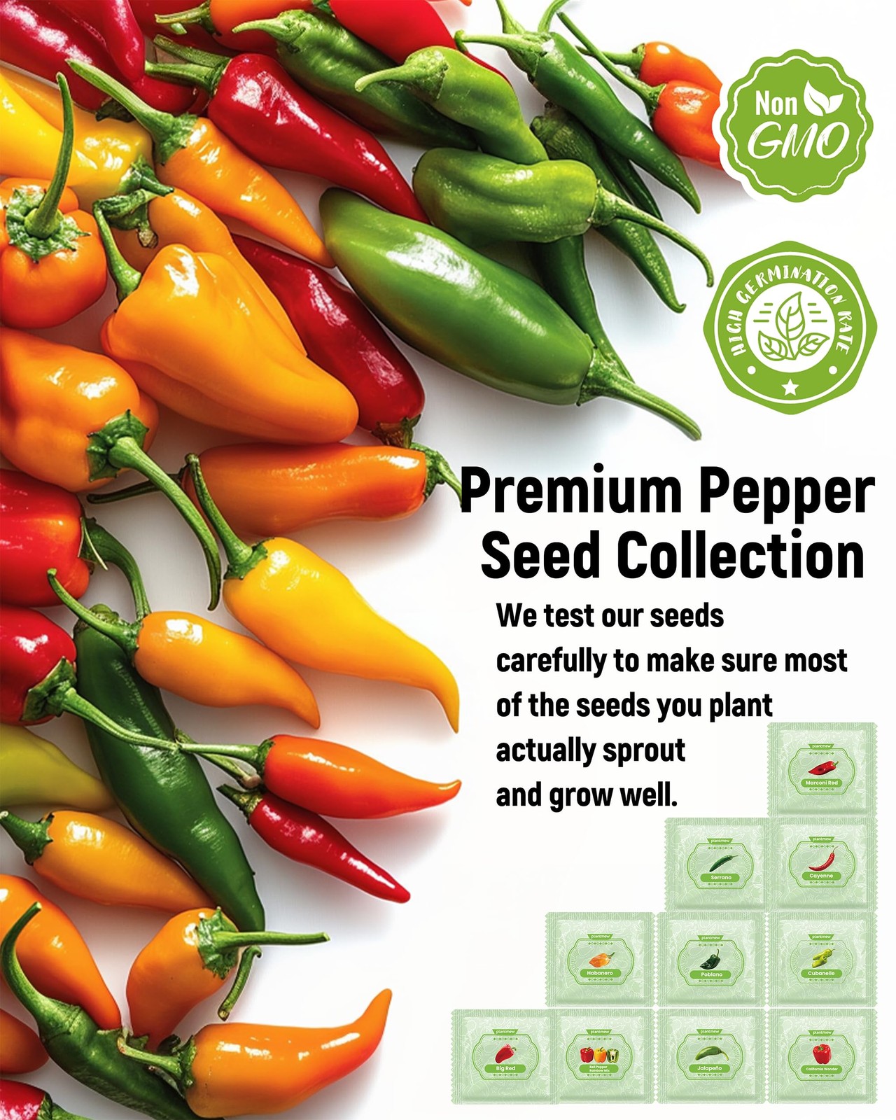 10 Variety Pepper Seeds for Planting – 2000+ 10 Seeds, green