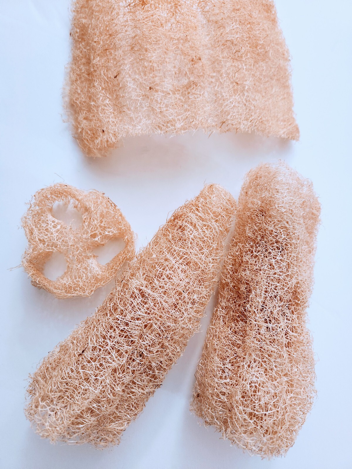 20+ LOOFAH SEEDS SPONGE LUFFA VEGETABLE SPRING HEIRLOOM VINE GOURD LOOFA NON-GMO