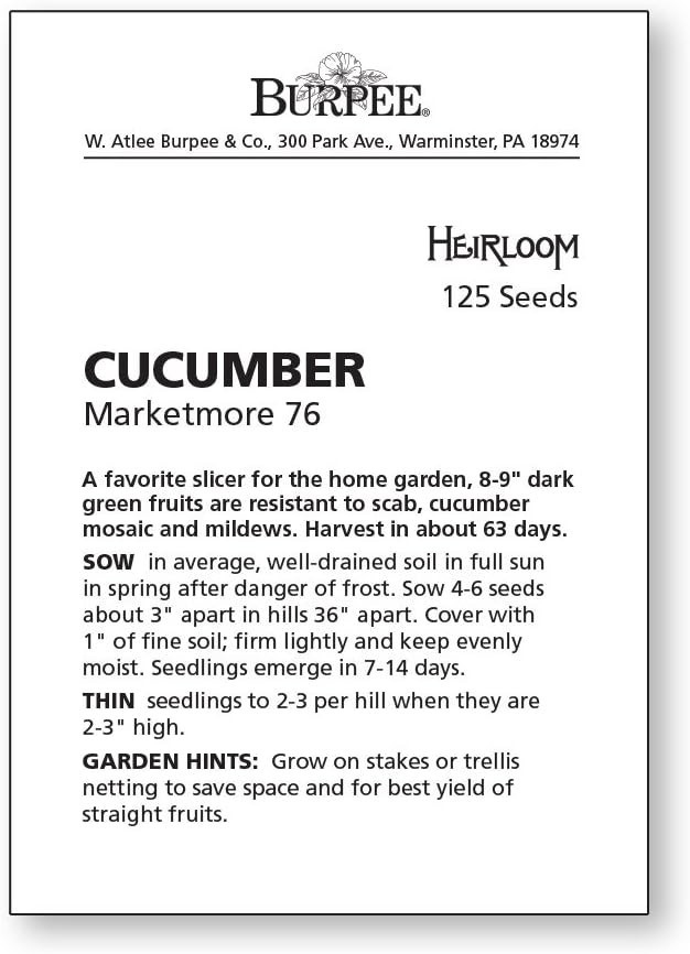 Non-GMO Marketmore 76 Slicing Cucumber Seeds – 125 Count for Home Garden