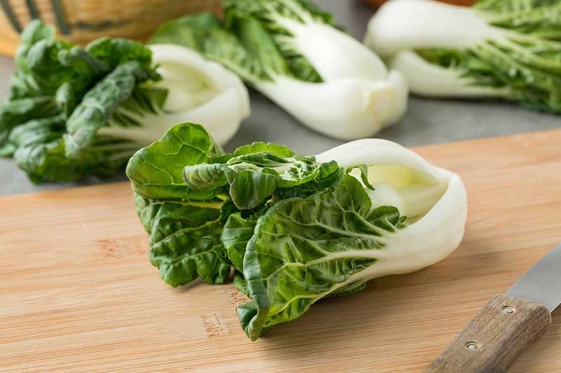 🌱Heirloom Extra Dwarf Bok Choy 50+ Seeds