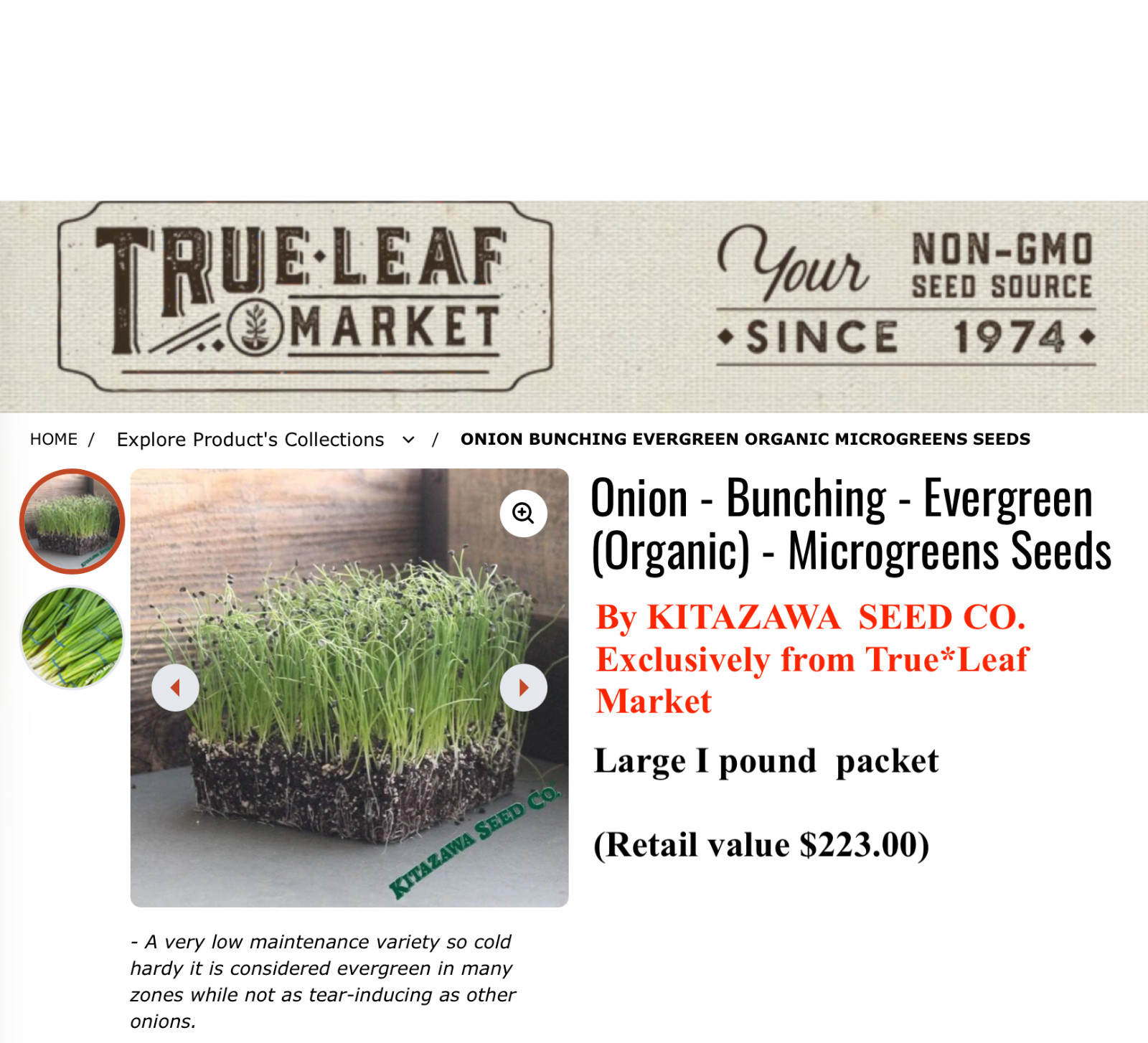 Onion – Bunching – Evergreen (Organic) – Microgreens Seeds ilb packet ~By KITAZA