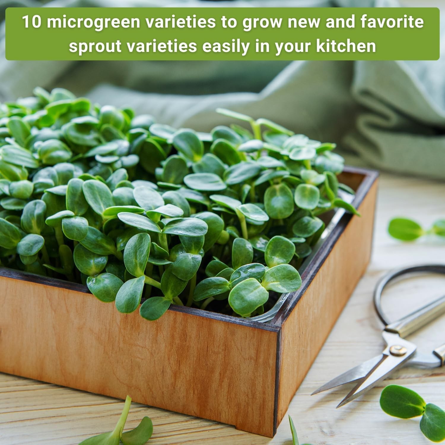 Compact Indoor Microgreens Seed Set – 10 Varieties, Low Maintenance Gardening