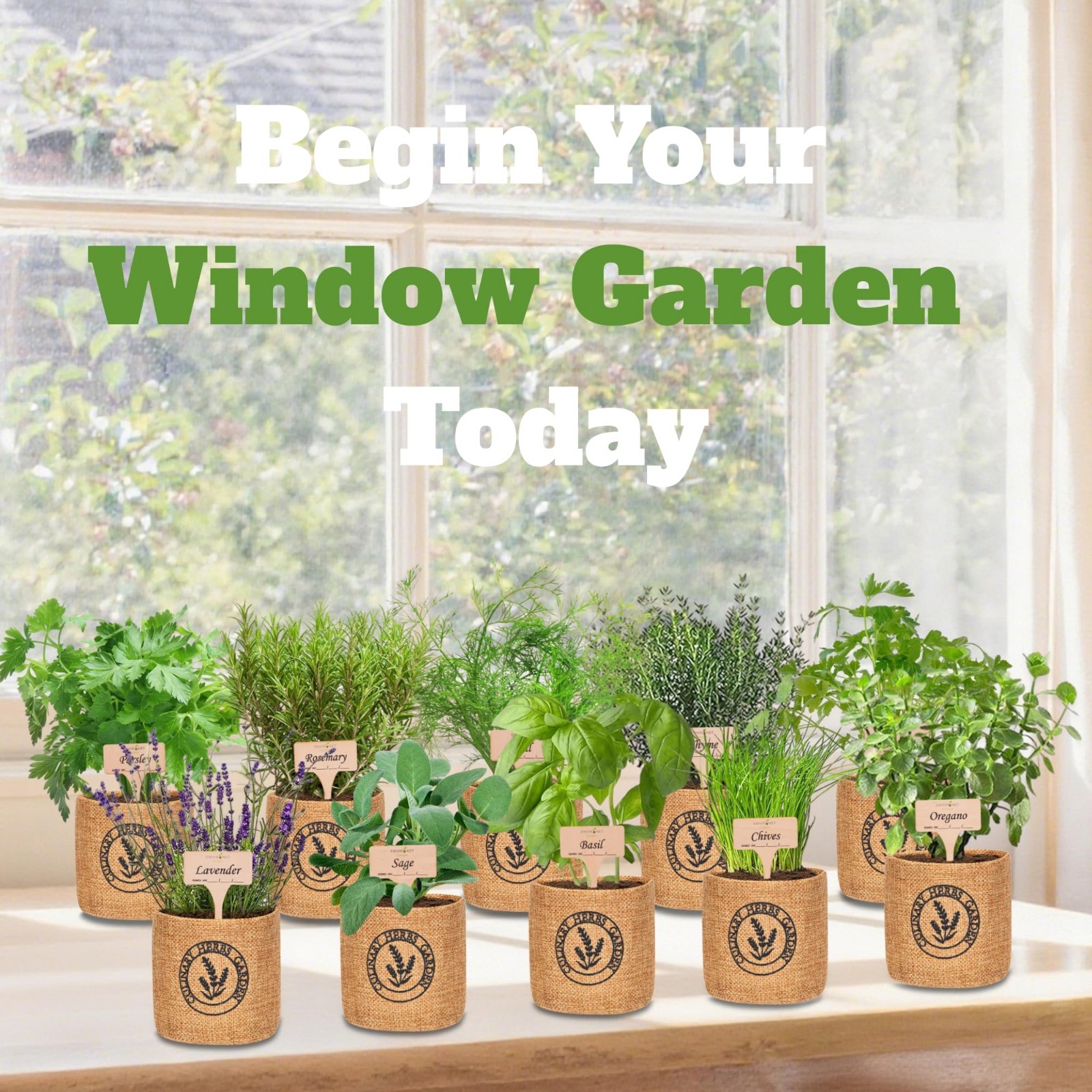 Indoor Herb Garden Kit – 10 Organic Seeds & Burlap Pots, Easy Kitchen Planter fo