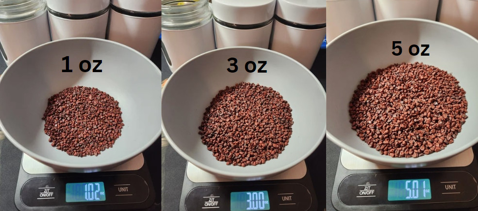 Wholesale Seeds, Semillas al por mayor, Puerto Rico, gandules, beans, hydroponic
