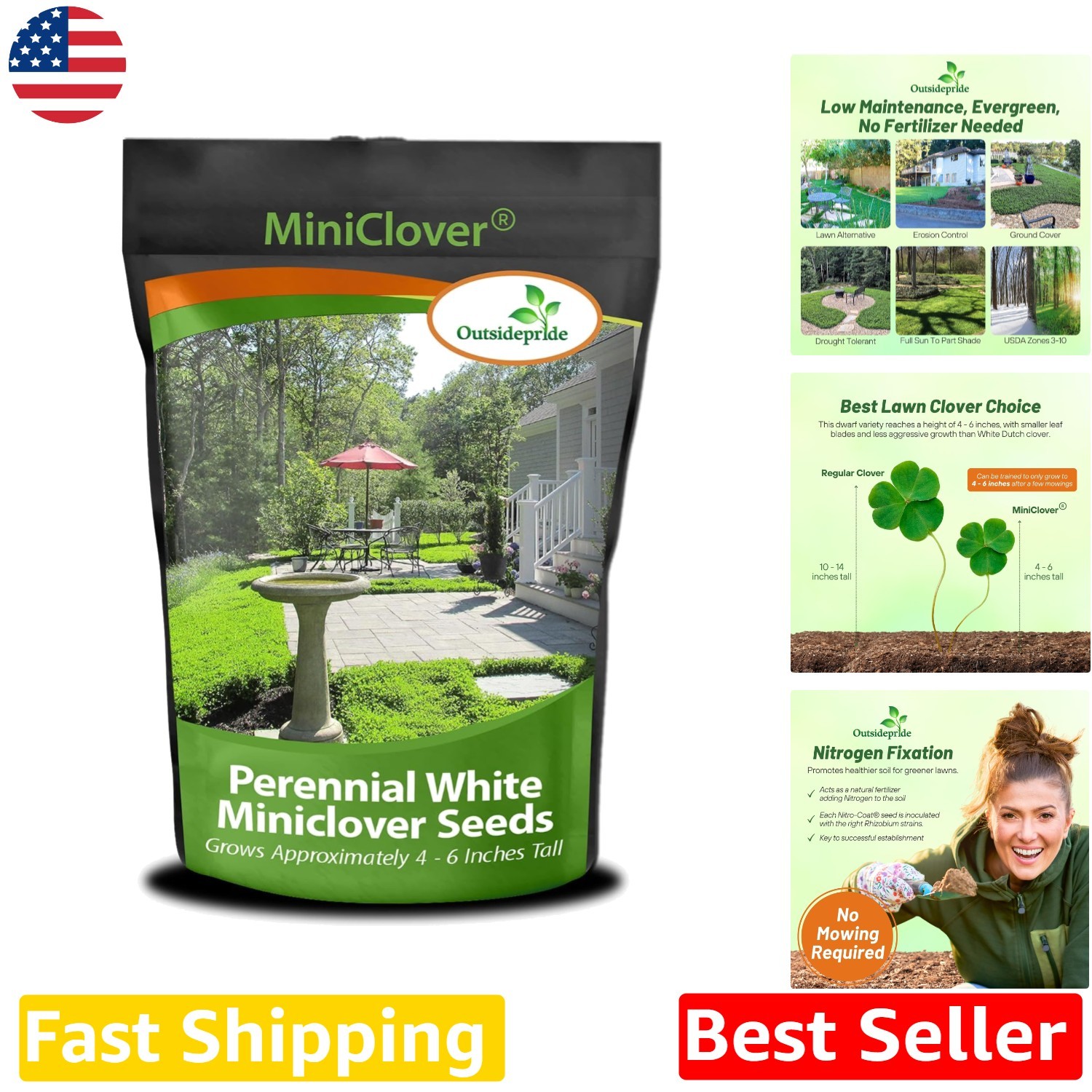 Perennial White MiniClover Seed 2 lb Natural Nitrogen-Fixing Ground Cover Lawn