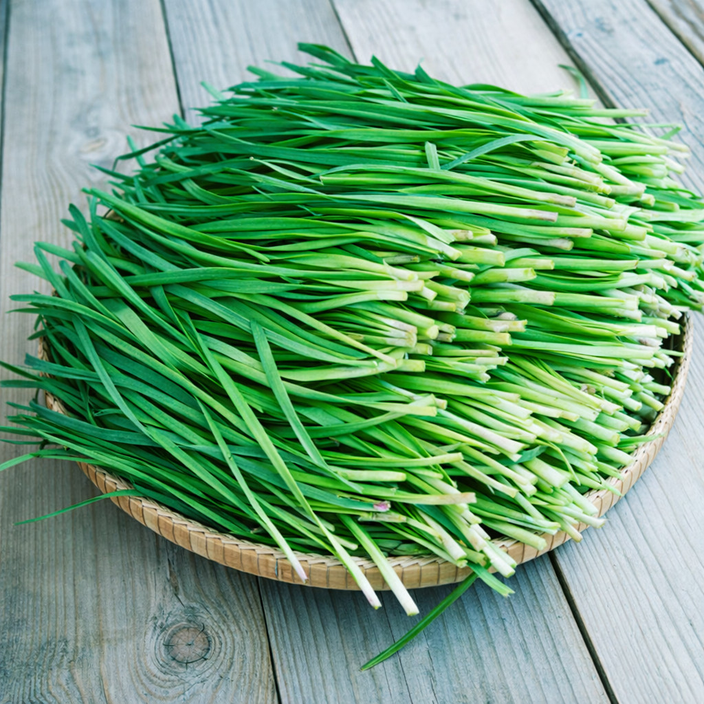500 Heirloom Organic Garlic Chive Seeds Allium tuberosun Non-GMO Perennial Herb