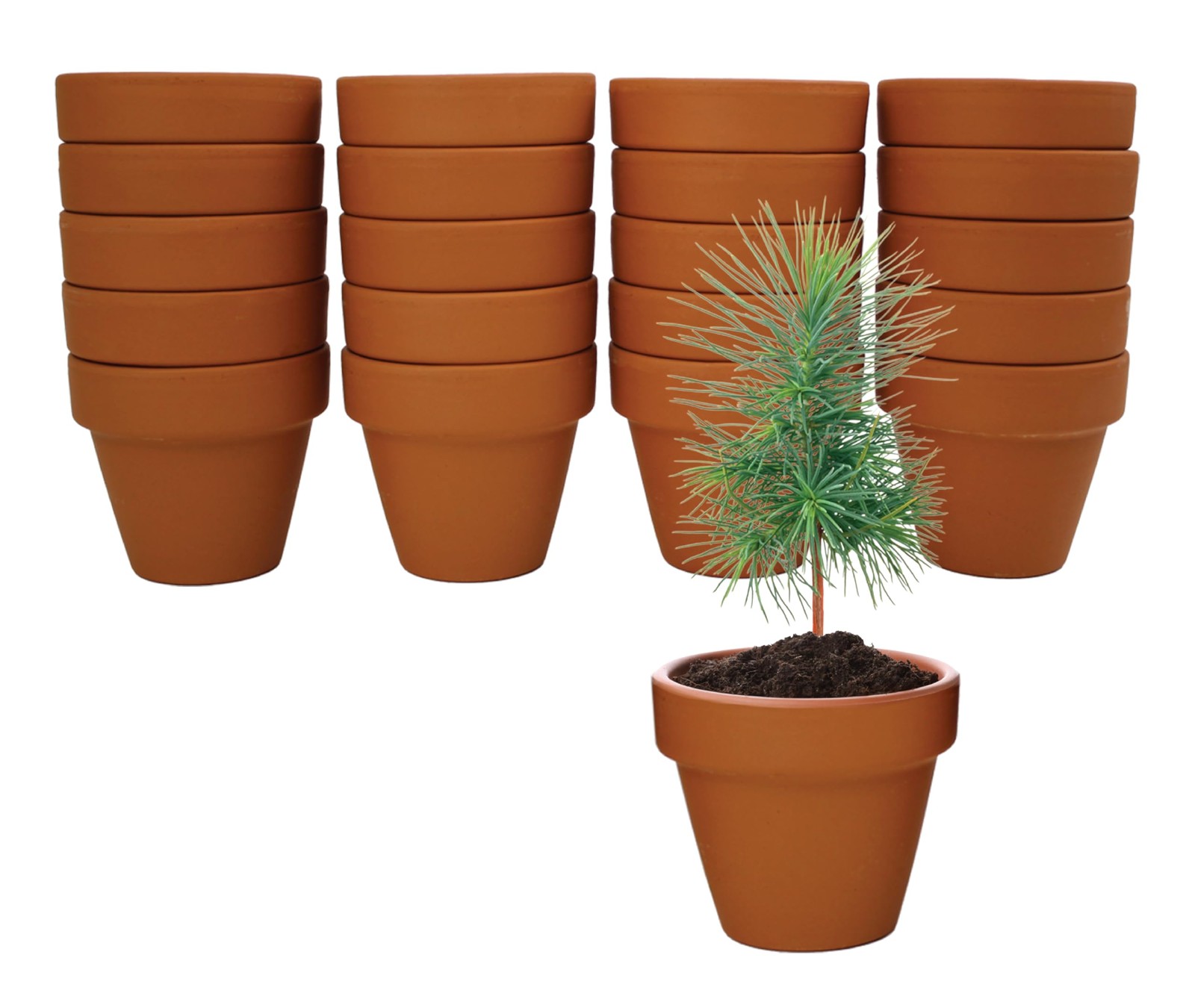 Seeds Spruce Terracotta Mini Grow Pots – Indoor Tree Starter Kit Bulk 20-Pack…