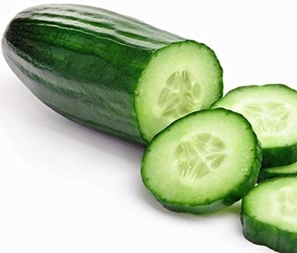 30 Muncher Burpless Sweet Cucumber Seeds, Heirloom Non-GMO, Non-Bitter and
