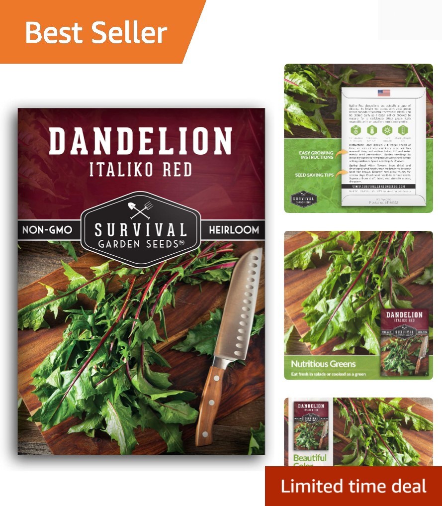 1 Pack Italiko Red Dandelion Seeds for Planting with Instructions to Grow Nut…