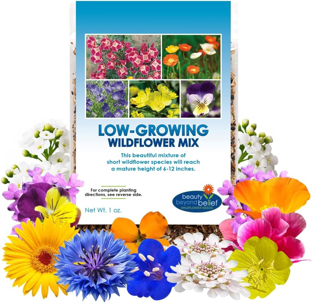 Low Growing Wildflower Seeds Mix – 1Oz, 6-12 Inches Short Flowers – Non-Gmo Natu