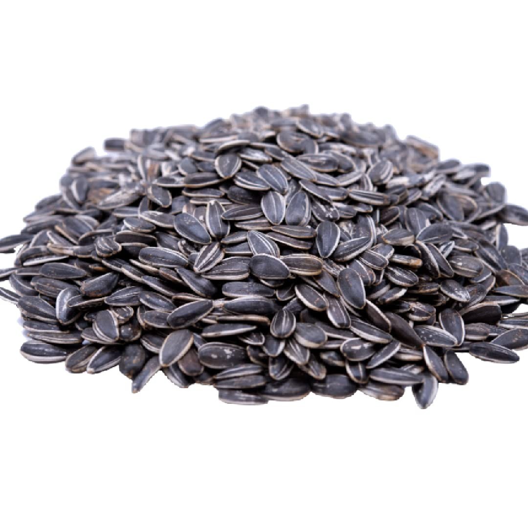 Lightly Sea Salted Sunflower Seeds 1 lb.