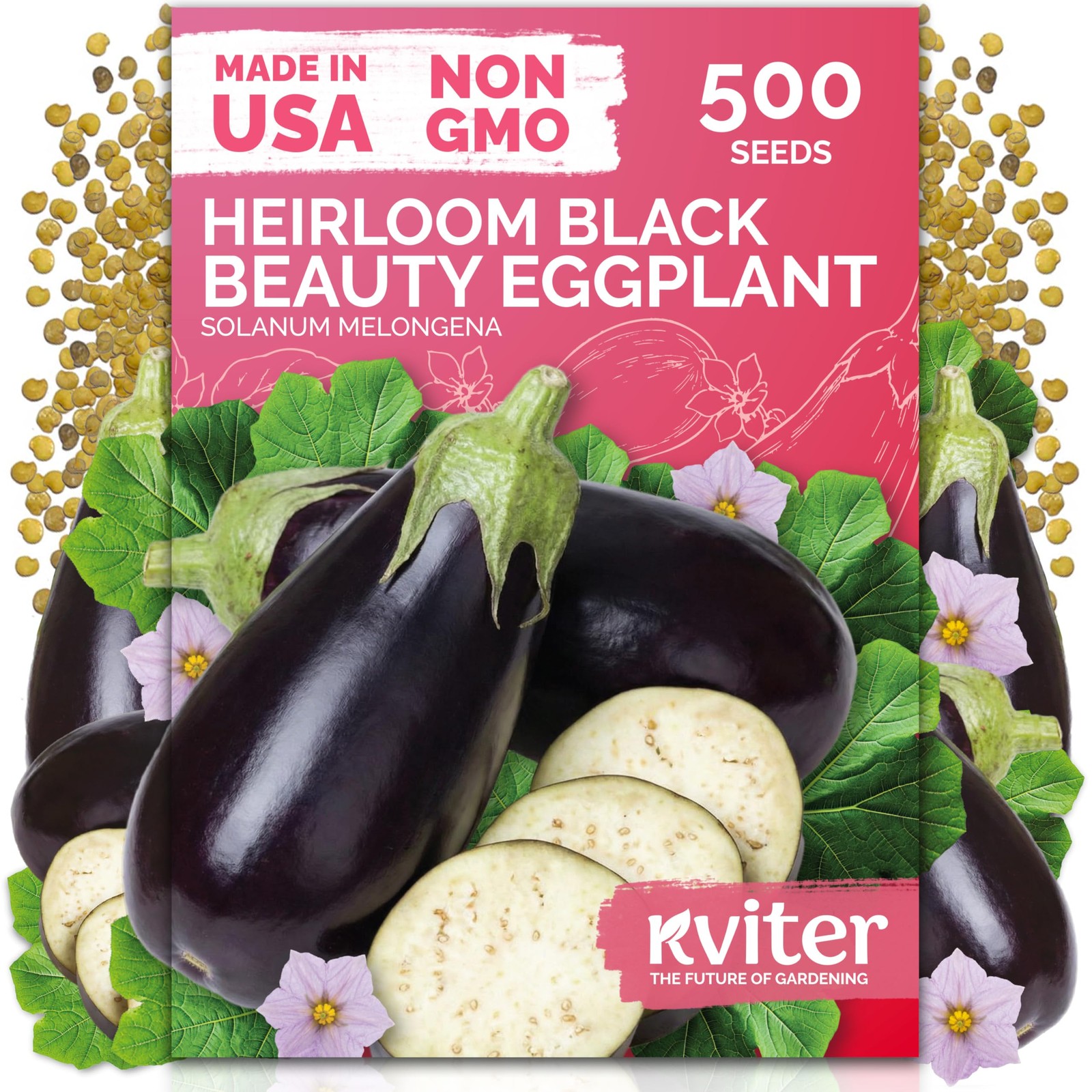 KVITER 500 Black Beauty Eggplant Seeds (Solanum Melongena)