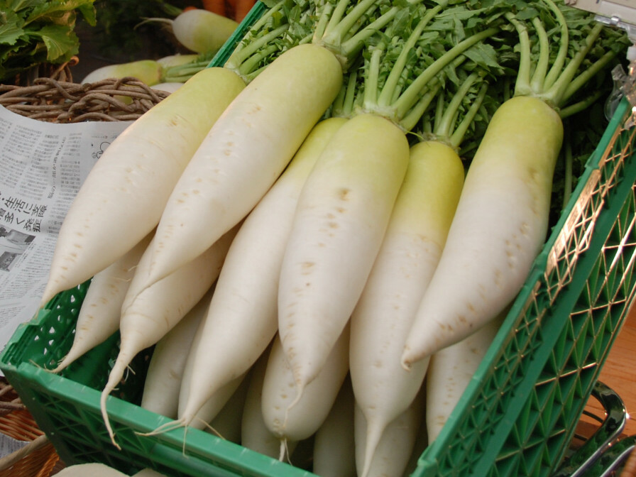 600+ Daikon Radish Seeds Heirloom NON GMO USA-SELLER!
