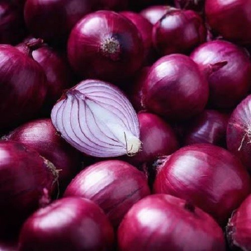 Premium Ruby Red Onion Seeds. Deep Purple Red Onion. Sweet Mild Flavor. Heirloom