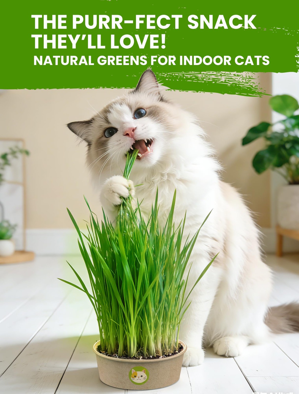 Cat Grass Kit for Indoor Cats, 3 Pack Fast Growing Cat Grass Kit with Eco-Fri…