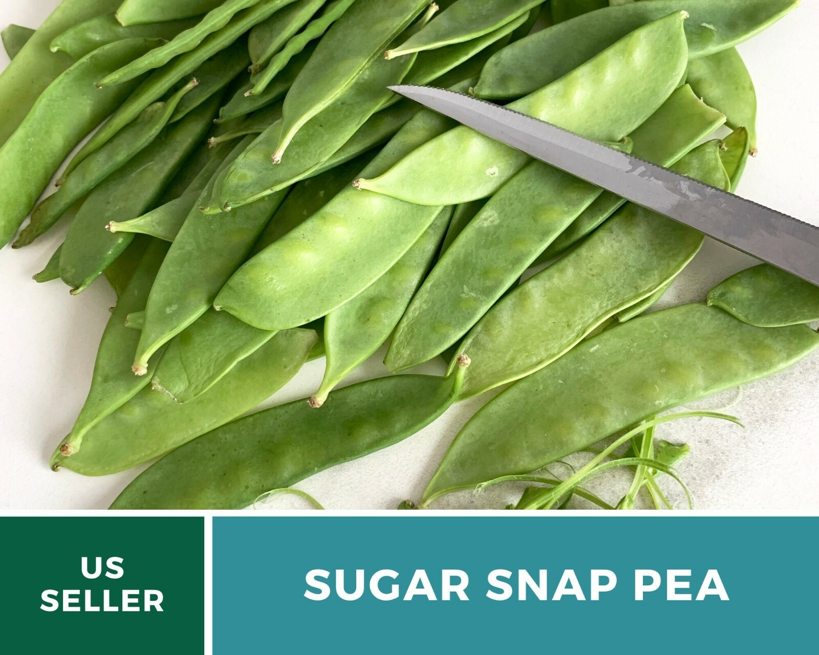 Peas, Sugar Snap – Heirloom Seeds – Sow Spring for midsummer or Summer for Fall