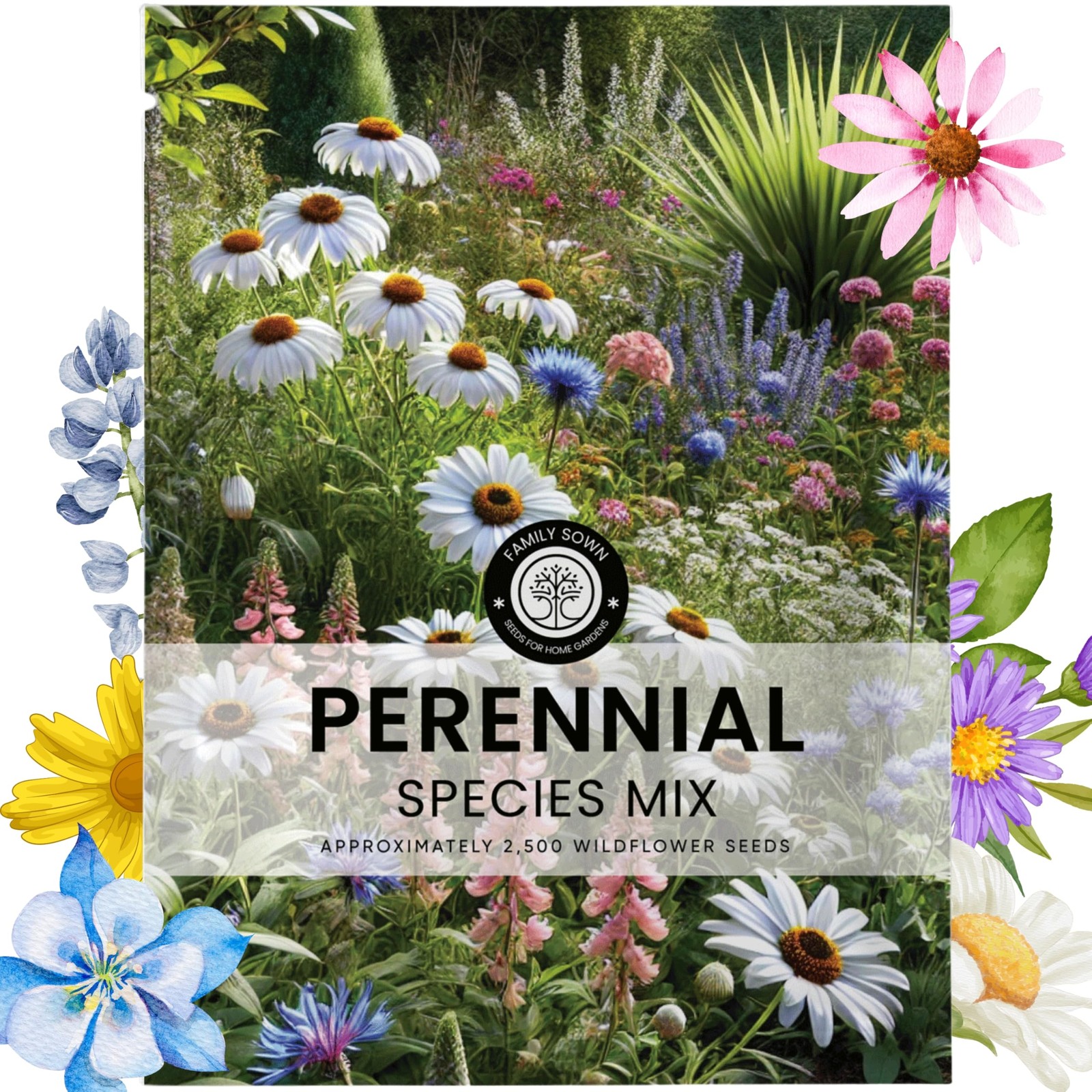 Perennial Species Mix Large 5g Envelope Wildflower Seeds Planting