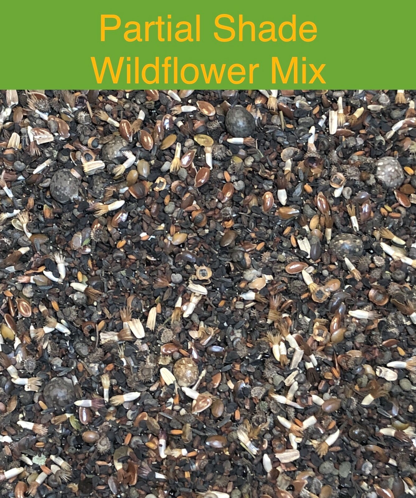 Landscaper’s Pack PARTIAL SHADE Wildflower Mix Assorted Non-GMO 3000+ Seeds!