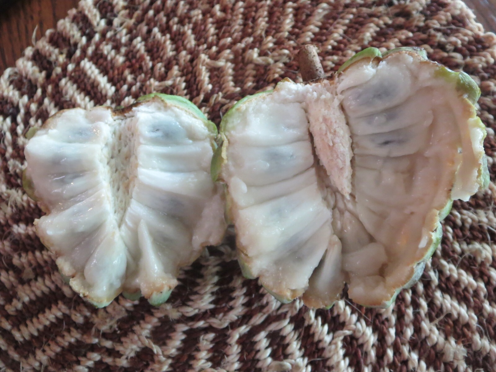 Organic Sugar Apple Annona Squamosa Tropical Fruit 10 Seeds August 2025 Season