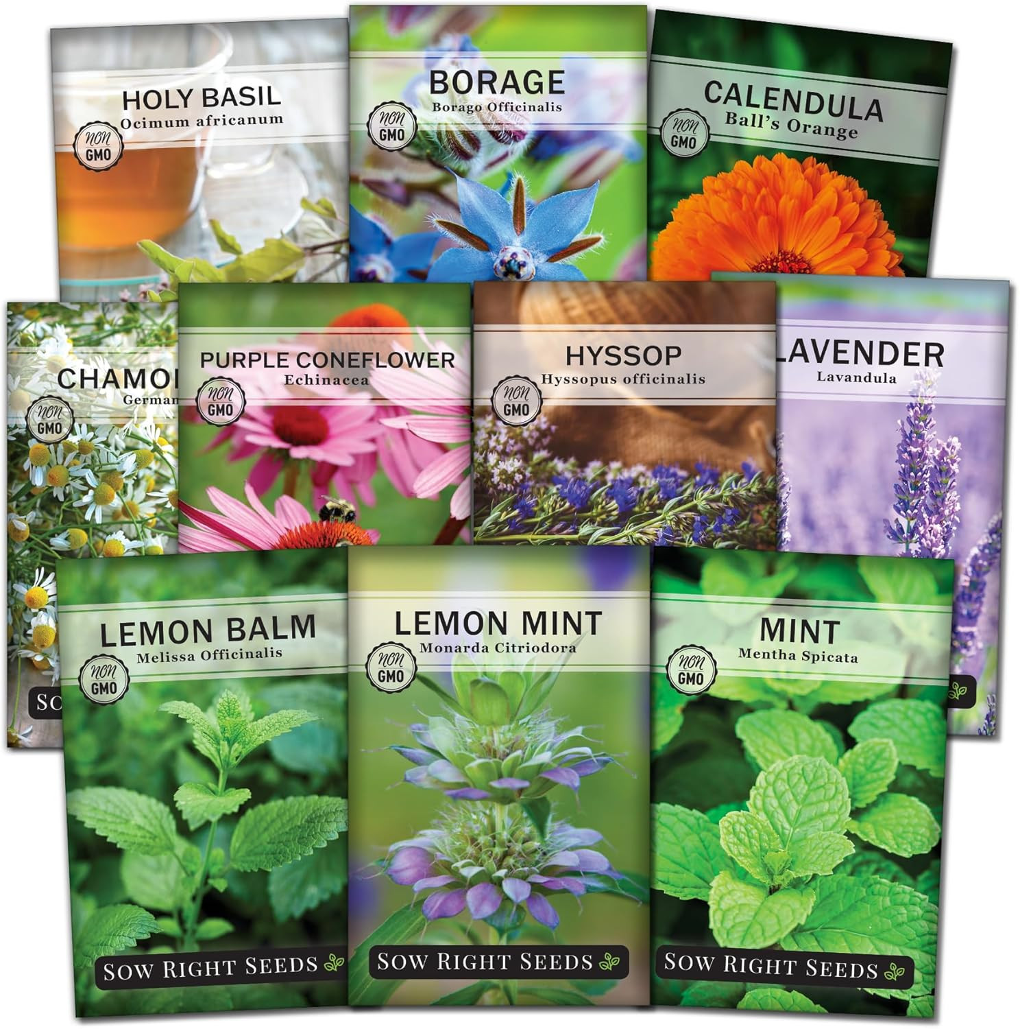 Sow Right Seeds – Large Herbal Tea Garden Seed Collection for Planting – Lemon B
